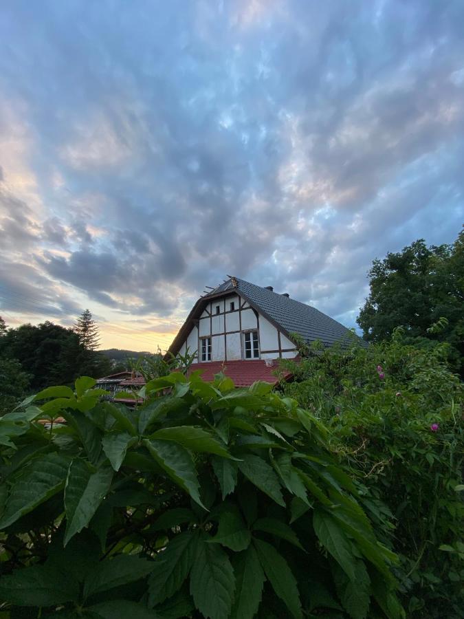 Zloty Zakatek Apartamento Złoty Stok Exterior foto